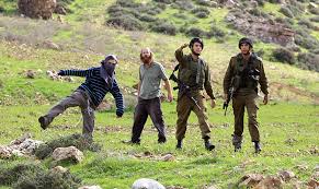 مستوطنون يعتدون على عامل فلسطيني قي سهول مدينة الطيبة 