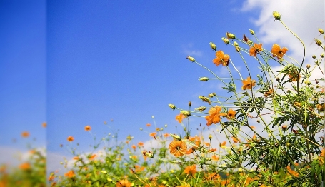 الطقس.. ارتفاع في درجات الحرارة