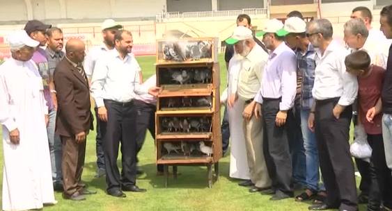 انطلاق بطولة حمام الزاجل الأولى في غزة