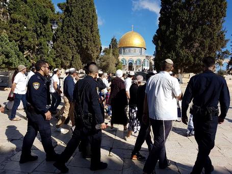 مئات المستوطنين يقتحمون الأقصى وهيئات القدس تحذر