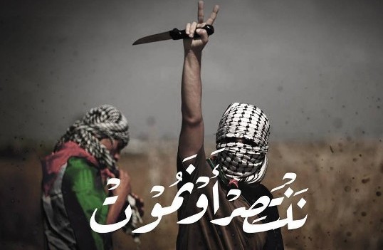 انتفاضة السكين.. ليلى عماشا