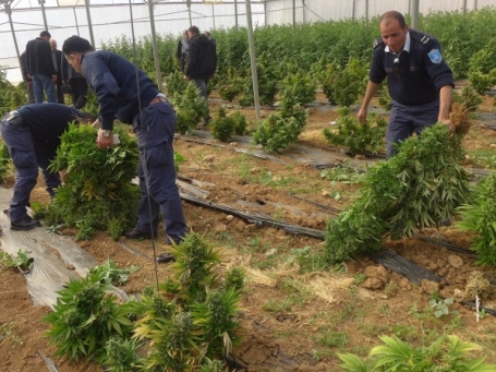 ضبط 27 كيلوغراماً من الماريغوانا في القدس