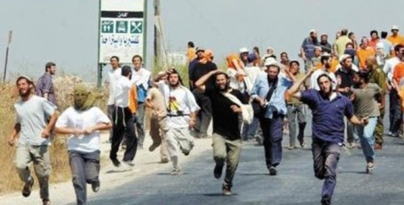 مستوطنون يقتحمون مستوطنة مخلاة جنوب جنين