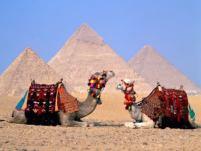 تراجع أعداد السياح في مصر 25%