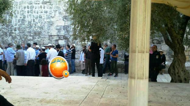 88 مستوطنا يقتحمون باحات الأقصى المبارك