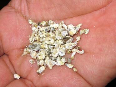 خبراء تجميل: فضلات الطيور أفضل من مستحضرات التجميل