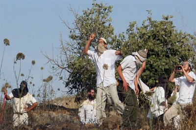 إصابة 3 فلسطينيين جراء اعتداء مستوطنين عليهم قرب نابلس