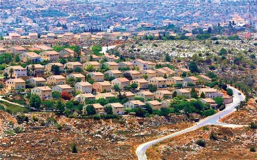 تقرير: اليمين 