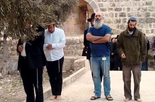 83 مستوطناً يقتحمون المسجد الأقصى المبارك