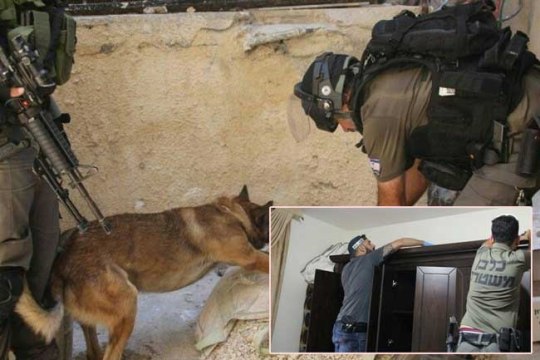 قوات الاحتلال تعتقل فلسطينيين في القدس