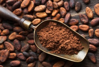 دراسة: الكاكاو يحد من تراجع القدرات الذهنية