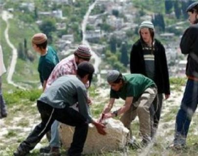 مستوطنون يجرفون أرضا ويزرعونها شرق بيت لحم