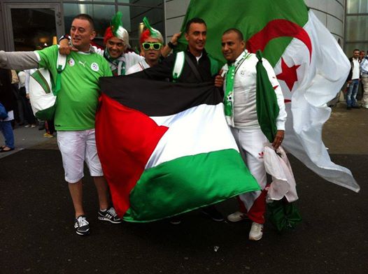 الجمهور الجزائري.. أينما يكون ترافقه الأعلام الفلسطينية