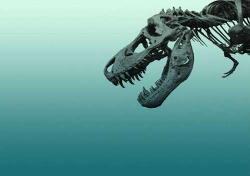 اكتشاف هيكل عظمي عمره 180 مليون سنة لحيوان إكتيوصور في المانيا