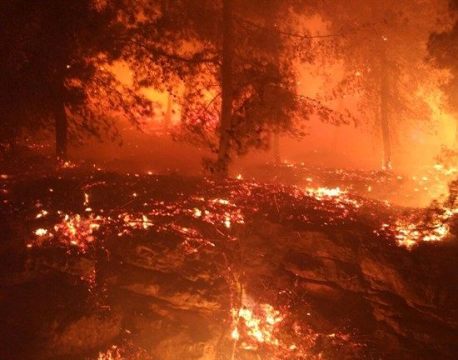 حريق كبير جنوب الناصرة