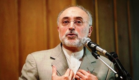 صالحي: ايران ابرمت عقدا مع روسيا لانشاء محطتين نوويتين جديدتين