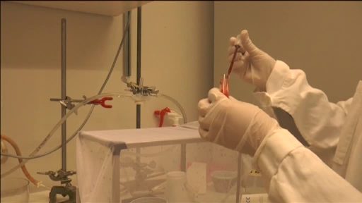 اكتشاف حلول علمية جديدة لمكافحة الملاريا