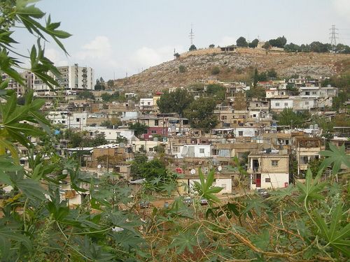 ناشطون فلسطينيون ينظمون فعالية في مخيم ضبيه ببيروت