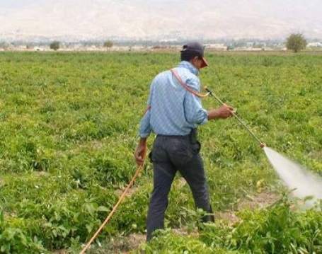 زراعة جنين تتلف مبيدات زراعية