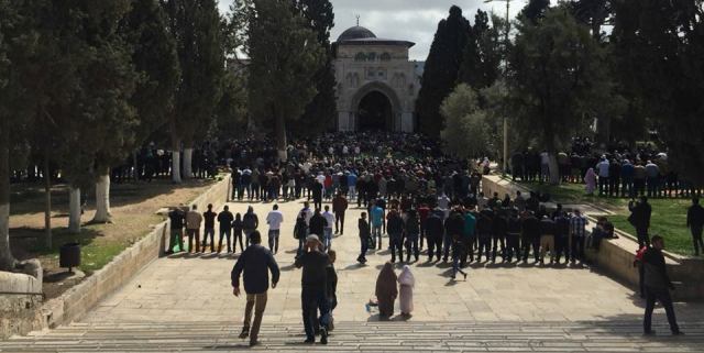 50 ألف مواطن يؤدون الصلاة في الأقصى
