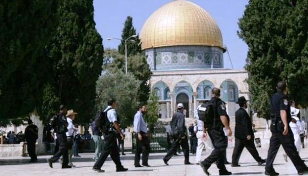 37 مستوطنا يقتحمون المسجد الأقصى