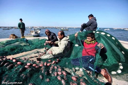 غزة.. منطقة الصيد الموسعة تفتقر للأسماك