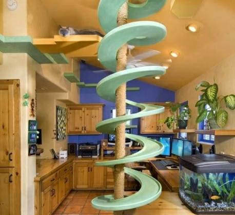 رجل يمتلك 18 قطة ويخطط بيته بما ينسجم مع حياتهم