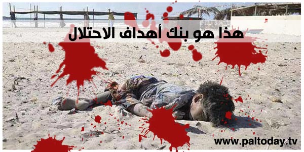 إحصائيات العدوان الاسرائيلي على قطاع غزة 