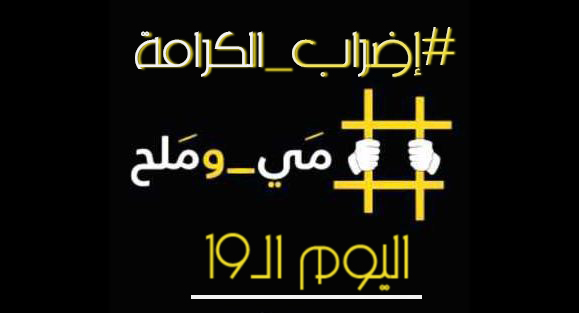 المعركة مستمرة.. اليوم الـ19