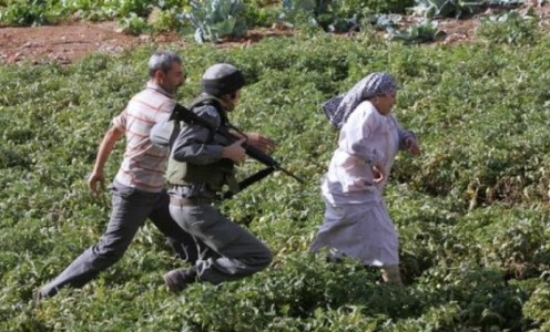 مستوطنون يضخون مياه عادمة إلى أراضي خربة زنوتا