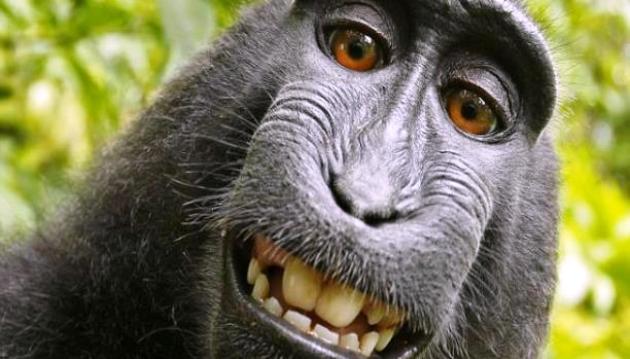 مصور بريطاني يربح دعوى 