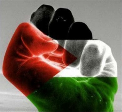 الأجندة المحلية في نشرة صباح  فلسطين