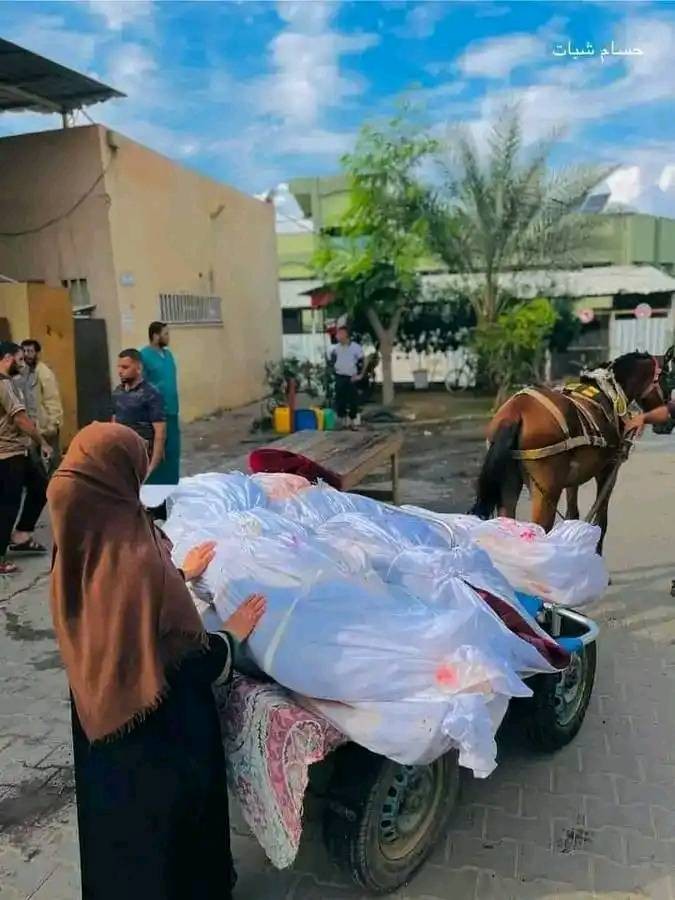 شهداء غزة.jpg