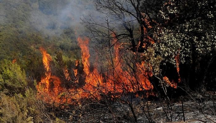 78-230328-algeria-forest-fires-strange-phenomenon_700x400.jpg