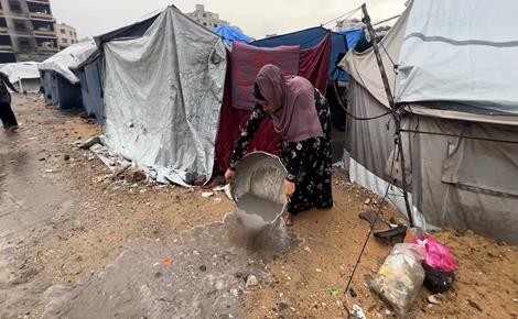 النازحون في غزة.jpg