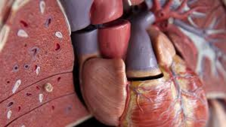 thumb (1).jpg