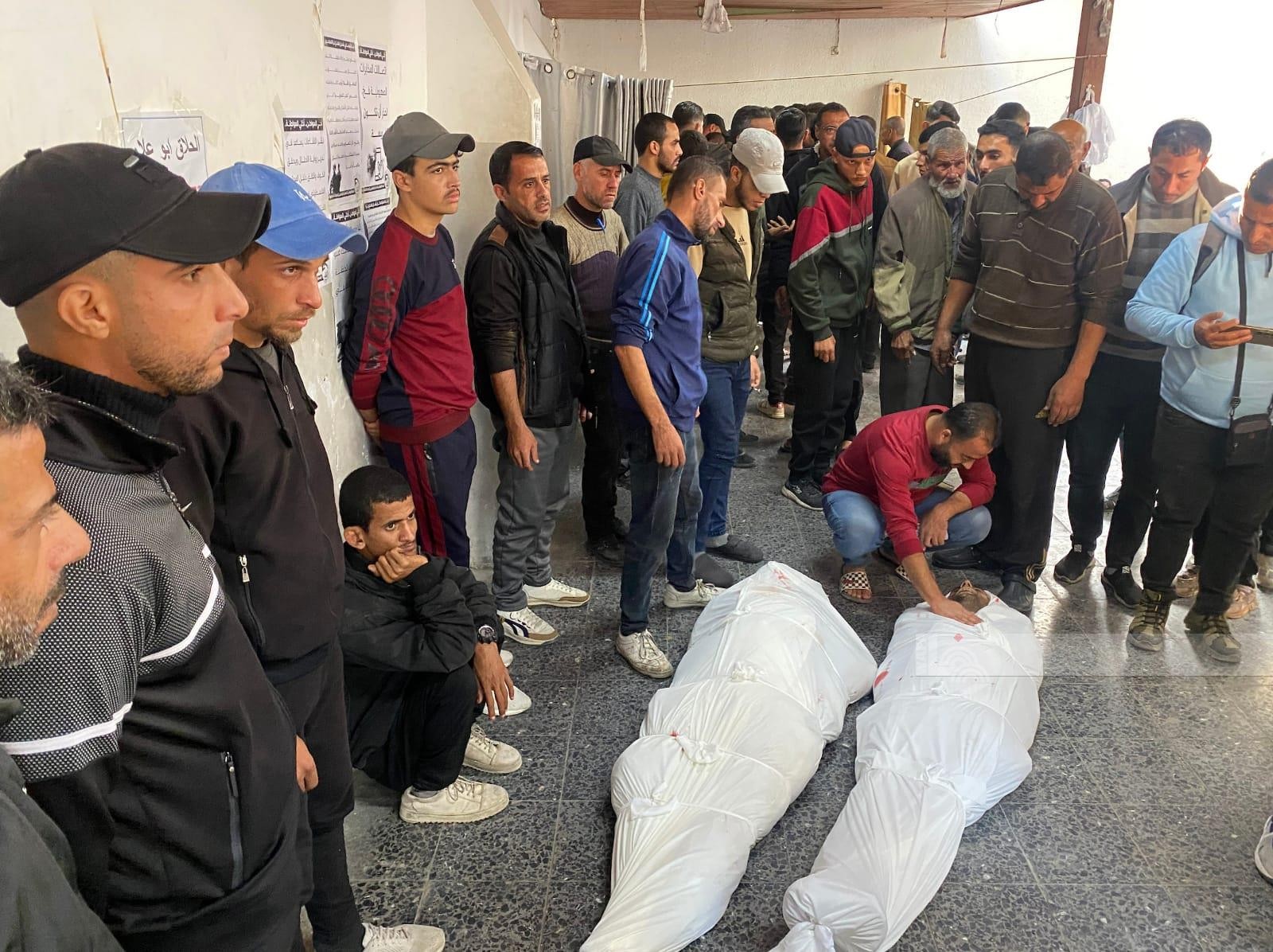 WafaImage (1).jpg-fad8153e-0b60-44fc-a13f-ead61b7cbb26.jpg