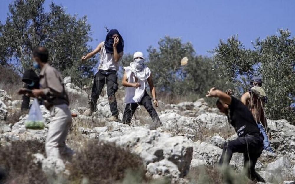 هجوم مستوطنين.jpg