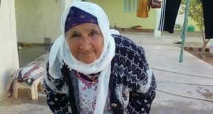 العجائز في غزة 2.jpeg