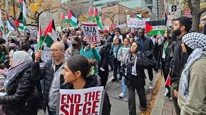 جامعة فرنسية 2.jpeg