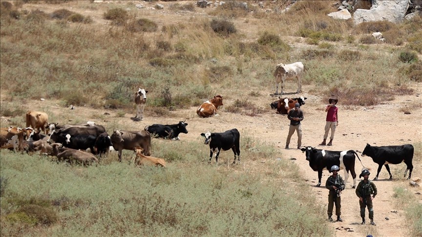 thumbs_b_c_409e201c1c3f0162b72854900f3a3c6c (1).jpg