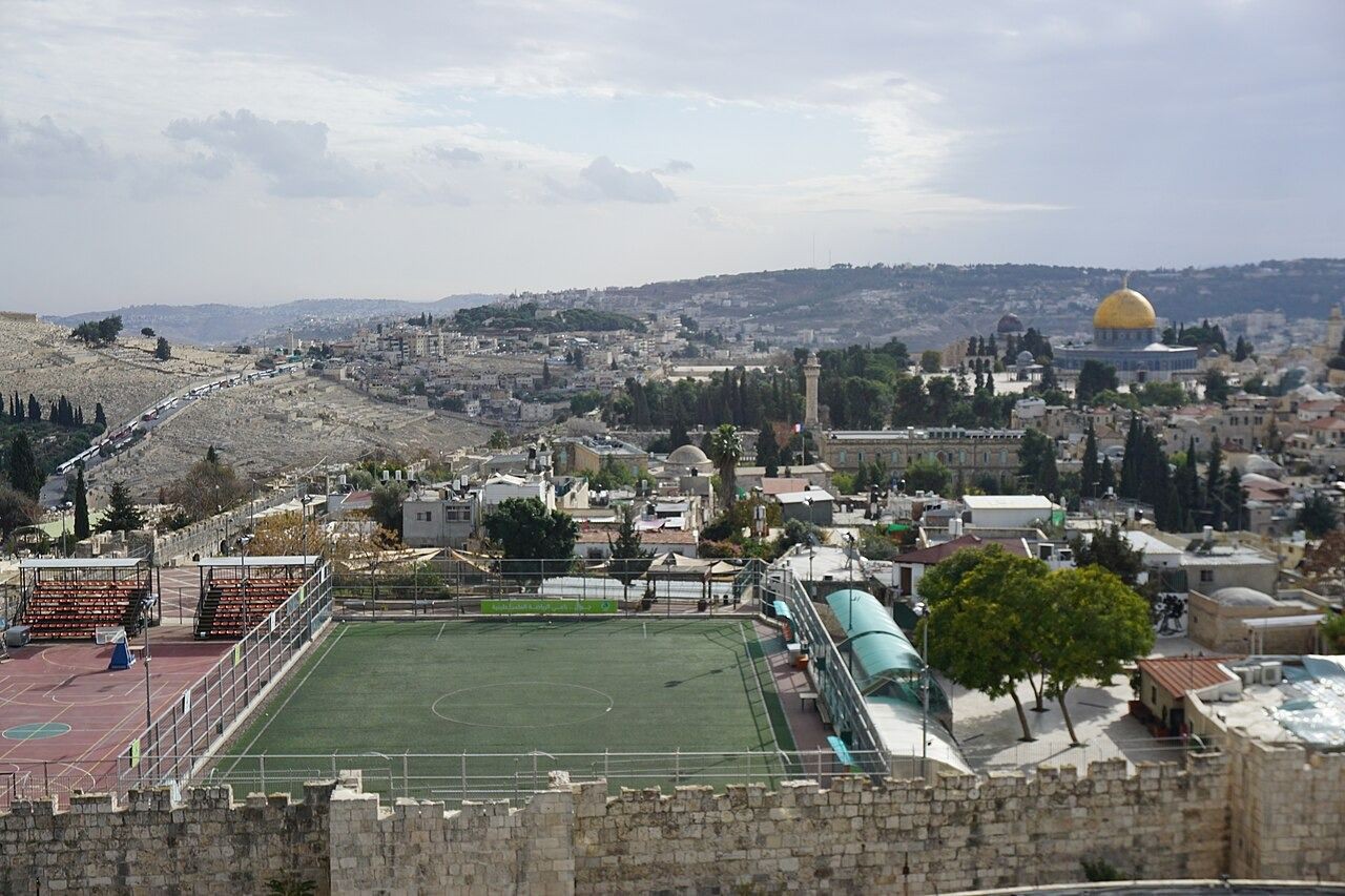 WhatsApp Image 2026-02-17 at 11.45.29 AM.jpeg-d536a8dc-10a7-4a74-97cc-c3198cc8b99e.jpeg