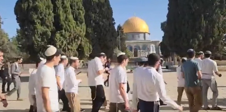 WhatsApp Image 2025-05-26 at 9.21.52 AM.jpeg-c507969b-bb7d-453c-b466-da3bd773ce5b.jpeg