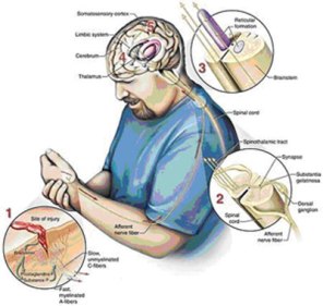 درجة تحمل الإنسان للألم تحدده الجينات