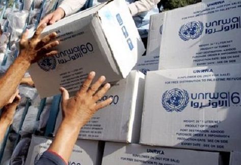 الأونروا: 80% من الفلسطينيين بغزة يعتمدون على المساعدات الإنسانية