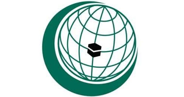 6400 دولار.. متوسط دخل الفرد بدول التعاون الإسلامي في 2015