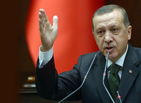 أردوغان: لا يمكن أن نبقى متفرجين حيال الأزمة بالمنطقة
