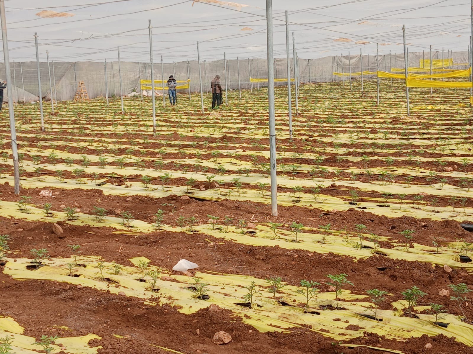 لخبر الاتحاد .jpeg-d161f077-9530-47fa-8881-61ee5de56a80.jpeg