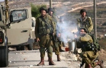 الاحتلال يبرئ ضابطا ومجندا من قتل الشاب عدي درويش
