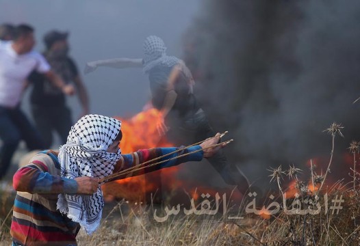 انتفاضة القدس.. 39 شهيداً وآلاف الجرحى ومقتل 7 مستوطنين